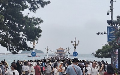 칭다오잔교
